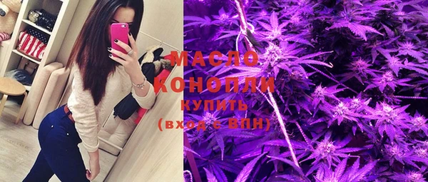дмт Пестово