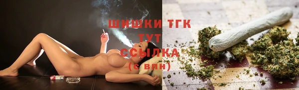 дмт Пестово