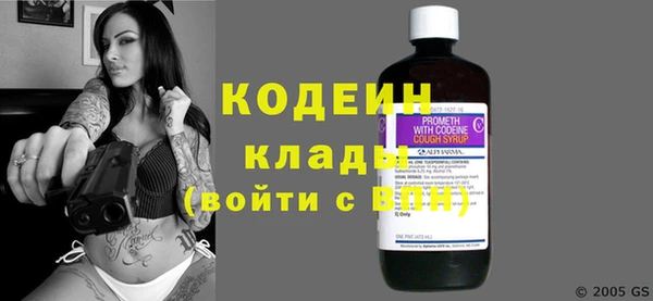 дмт Пестово