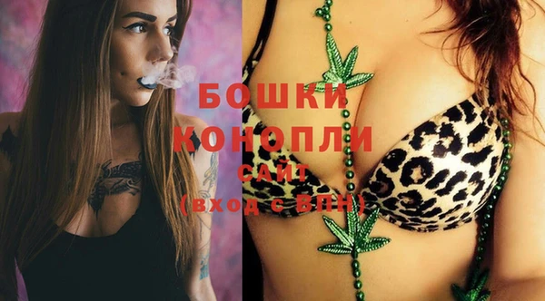 mdpv Переславль-Залесский