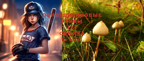 амф Покров