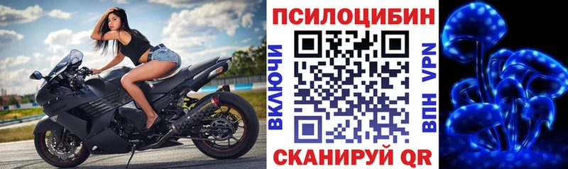 купить  цена  Кущёвская  Псилоцибиновые грибы ЛСД 